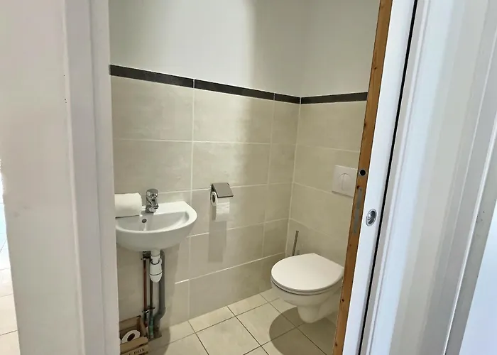 Logis Hotel Du Cygne